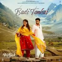 Badi Tanhai Afsana Khan Song Download Mp3