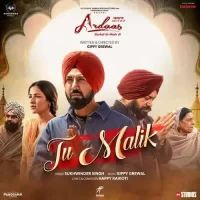 Tu Malik Sukhwinder Singh Song Download Mp3