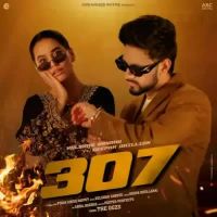 307 Kulshan Sandhu,Deepak Dhillon Song Download Mp3