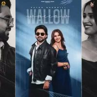 Wallow Fateh Shergill Song Download Mp3