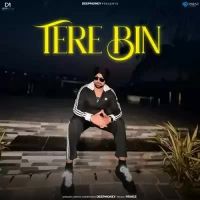 Tere Bin Deep Money Song Download Mp3