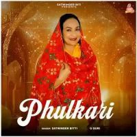 Phulkari Satwinder Bitti Song Download Mp3