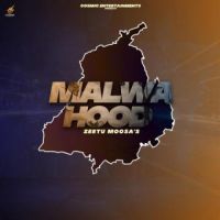 Malwa Hood Zeetu Moosa Song Download Mp3